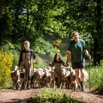 Coopérative fromagère Les Bergers du Larzac