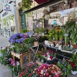 Les Floralies, artisan fleuriste à Millau