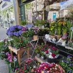 Les Floralies, artisan fleuriste à Millau